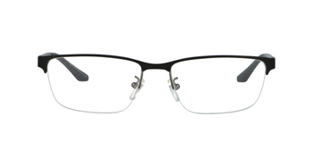 EMPORIO ARMANI EA 1147 3365