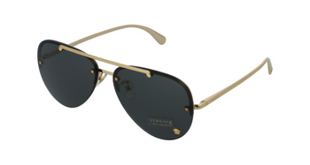 Versace 2231 1002/87