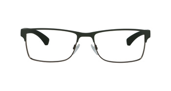 Emporio Armani EA 1052 3017