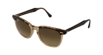 Ray-Ban RB2298 1292/M2