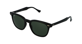 Ray-Ban RB2298 901/31