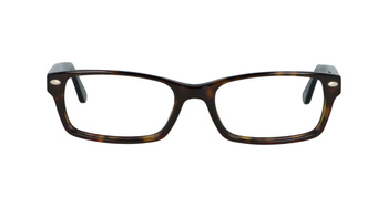 Ray-Ban RB5206 2012