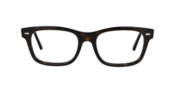 Ray-Ban RB5383 2012