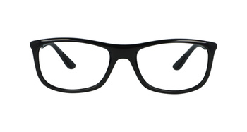 Ray-Ban RB8951 5603